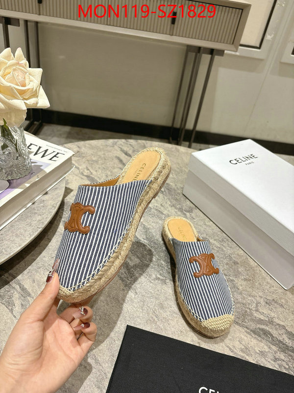 Women Shoes-CELINE what are the best replica ID: SZ1829 $: 119USD