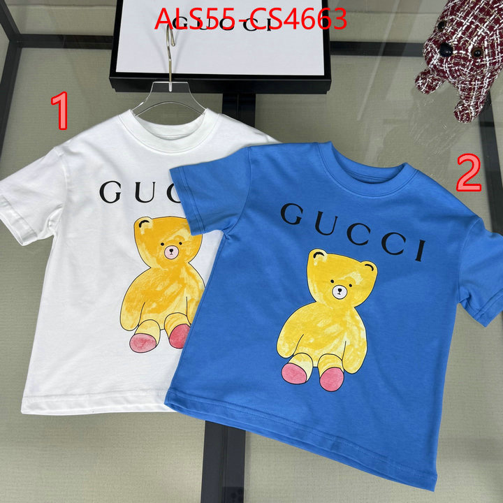 ID: CS4663