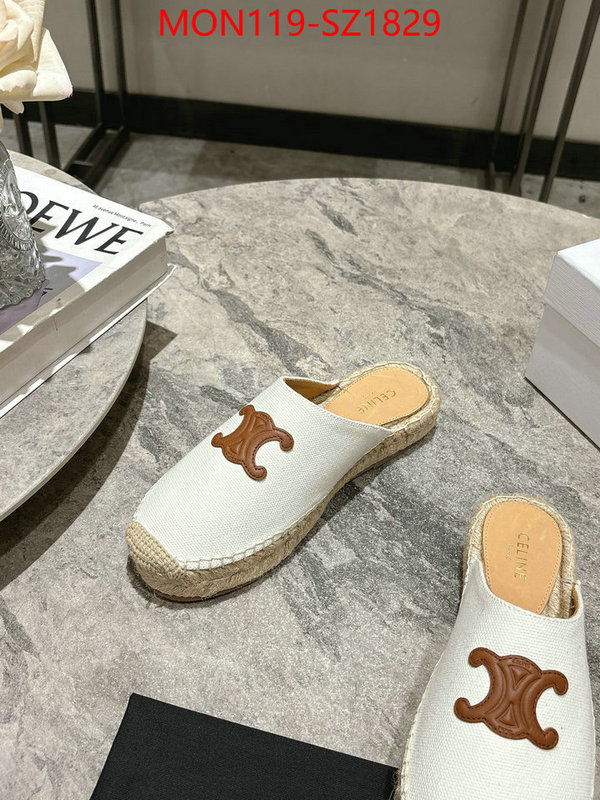 Women Shoes-CELINE what are the best replica ID: SZ1829 $: 119USD