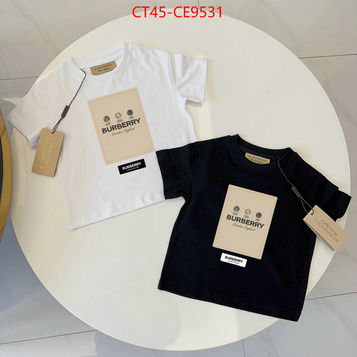 ID: CE9531
