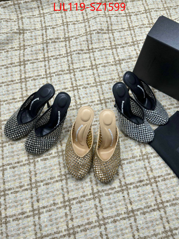 Women Shoes-Alexander Wang what is top quality replica ID: SZ1599 $: 119USD