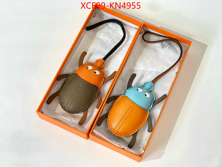 ID: KN4955