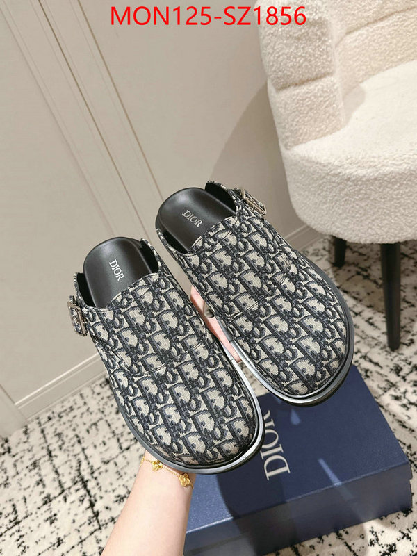 Men shoes-Dior top perfect fake ID: SZ1856 $: 125USD