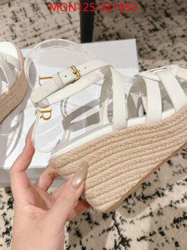 Women Shoes-Dior how to start selling replica ID: SZ1853 $: 125USD