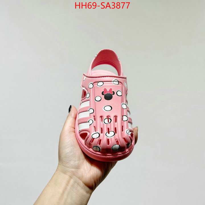 ID: SA3877
