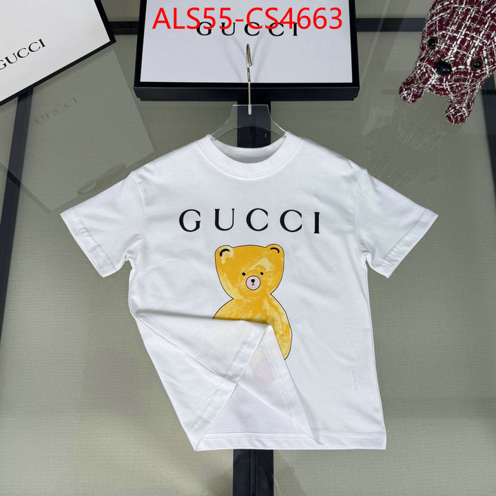 ID: CS4663