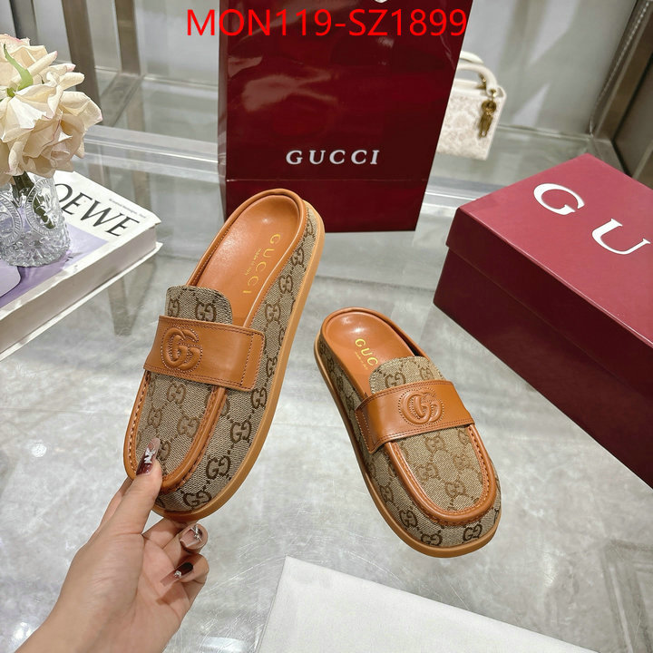 Women Shoes-Gucci high quality designer ID: SZ1899 $: 119USD