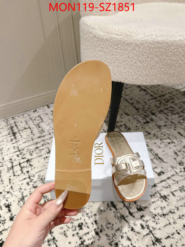 Women Shoes-Dior cheap replica designer ID: SZ1851 $: 119USD