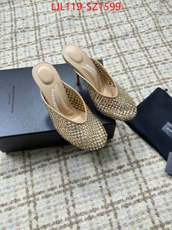 Women Shoes-Alexander Wang what is top quality replica ID: SZ1599 $: 119USD