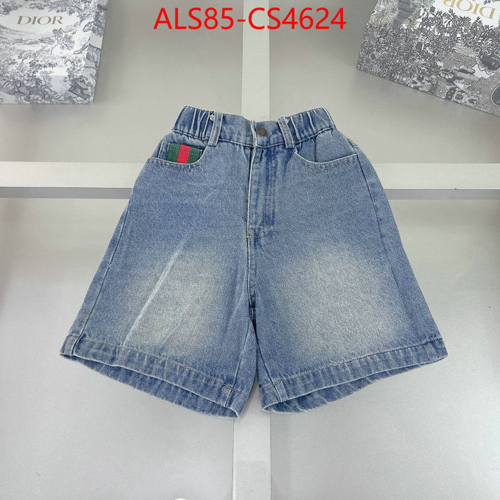 ID: CS4624