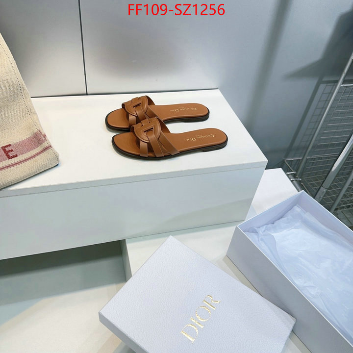 Women Shoes-Dior buying replica ID: SZ1256 $: 109USD