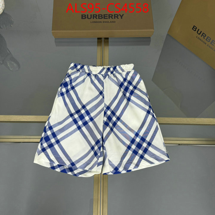 ID: CS4558