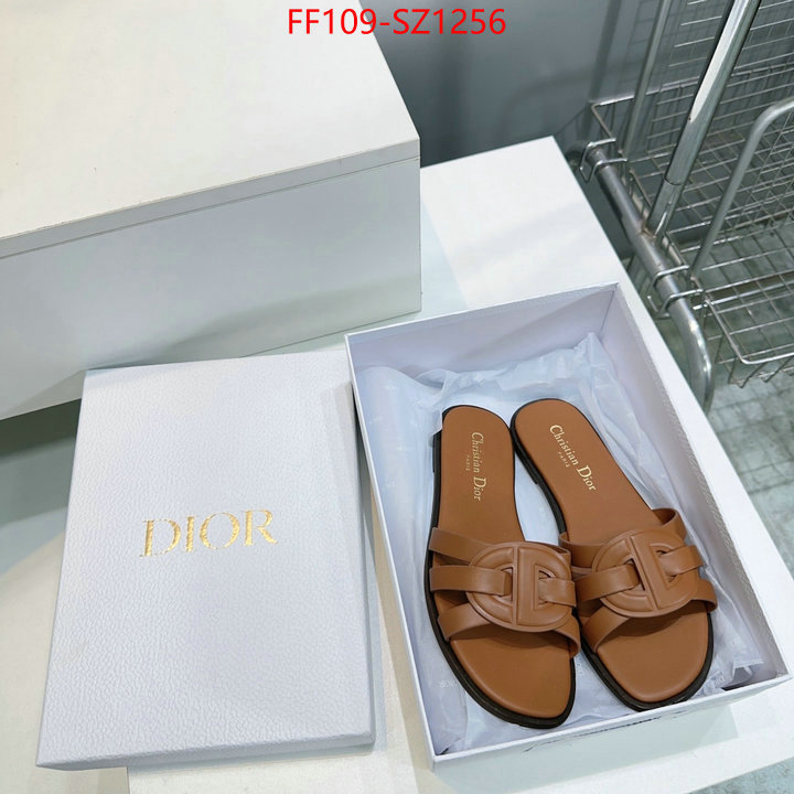Women Shoes-Dior buying replica ID: SZ1256 $: 109USD