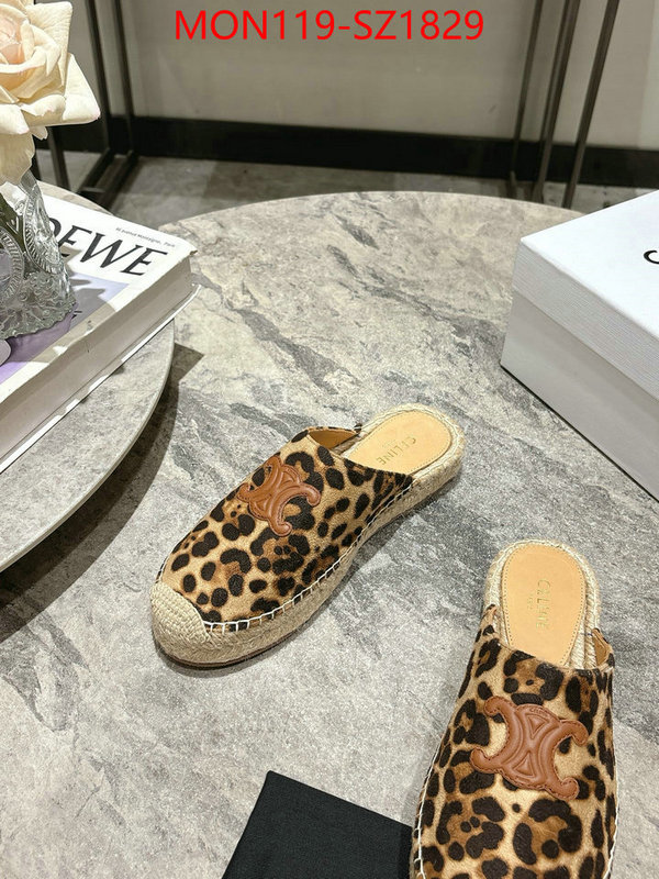 Women Shoes-CELINE what are the best replica ID: SZ1829 $: 119USD