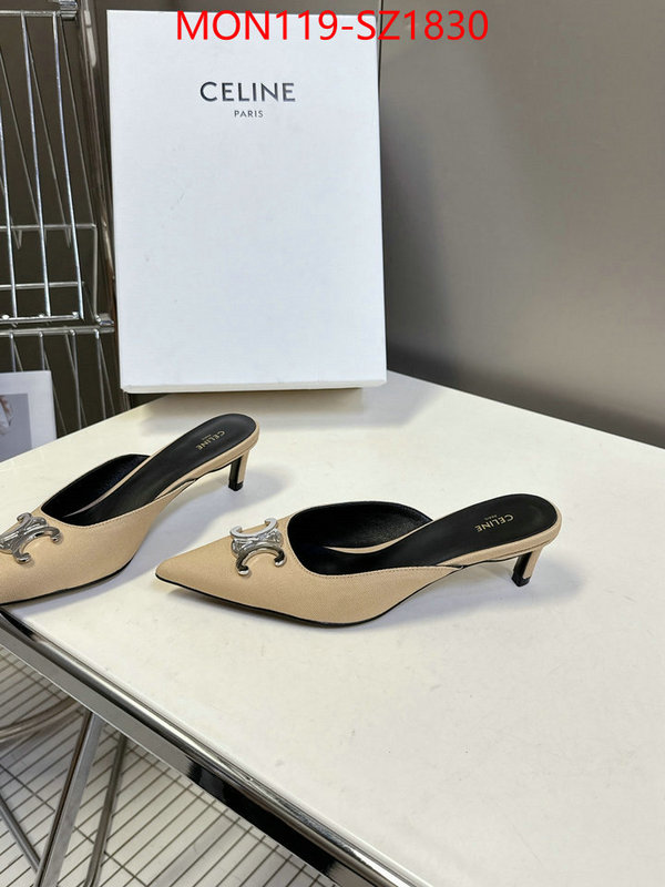 Women Shoes-CELINE sellers online ID: SZ1830 $: 119USD