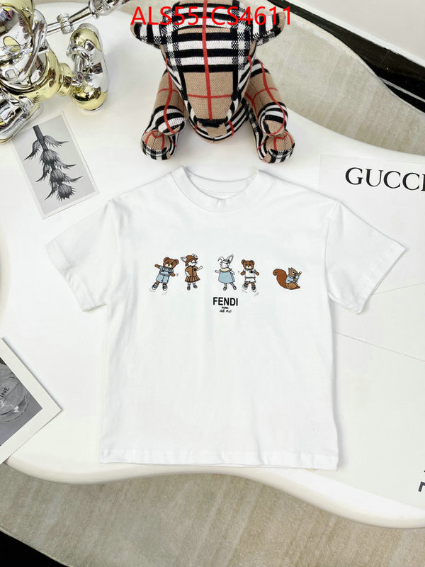 ID: CS4611