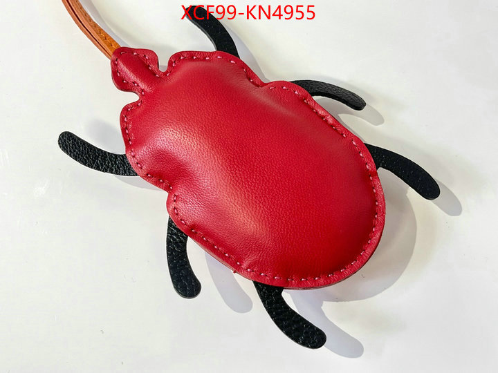 ID: KN4955