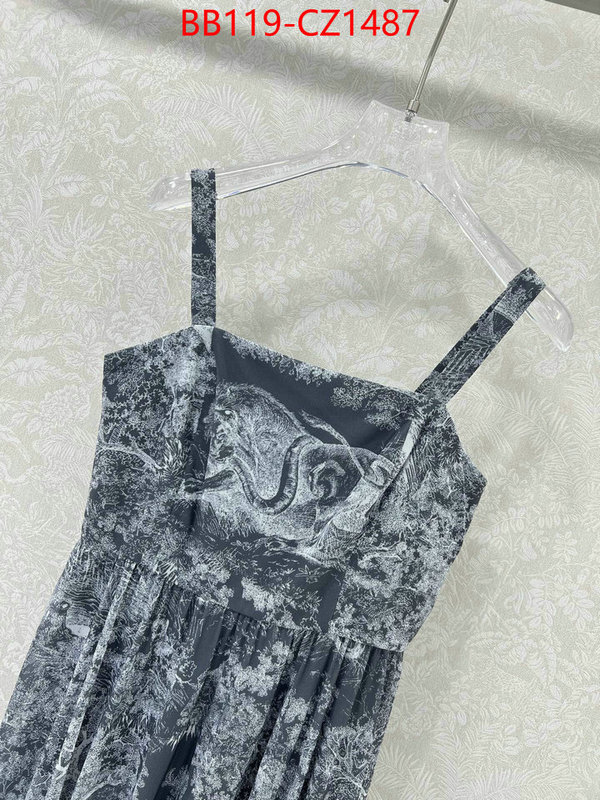 Clothing-Dior fashion designer ID: CZ1487 $: 119USD