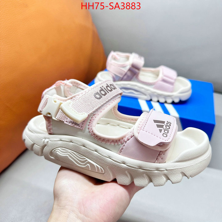ID: SA3883
