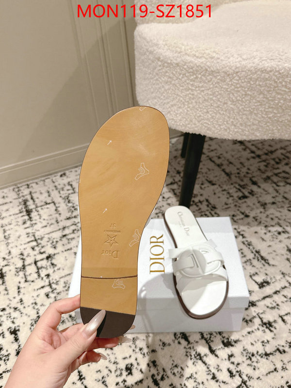 Women Shoes-Dior cheap replica designer ID: SZ1851 $: 119USD