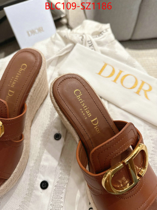 Women Shoes-Dior where to find the best replicas ID: SZ1186 $: 109USD