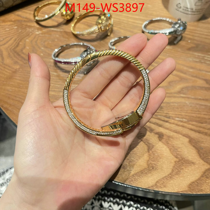 ID: WS3897