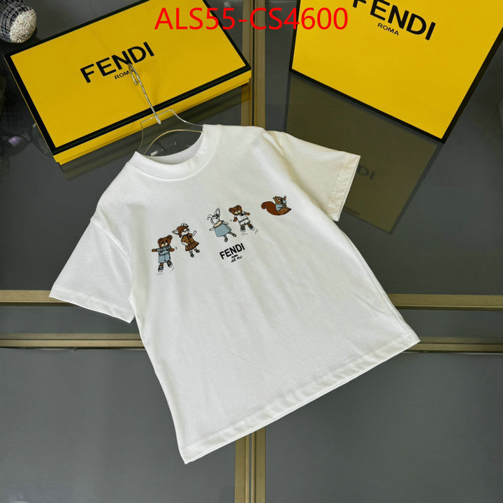ID: CS4600