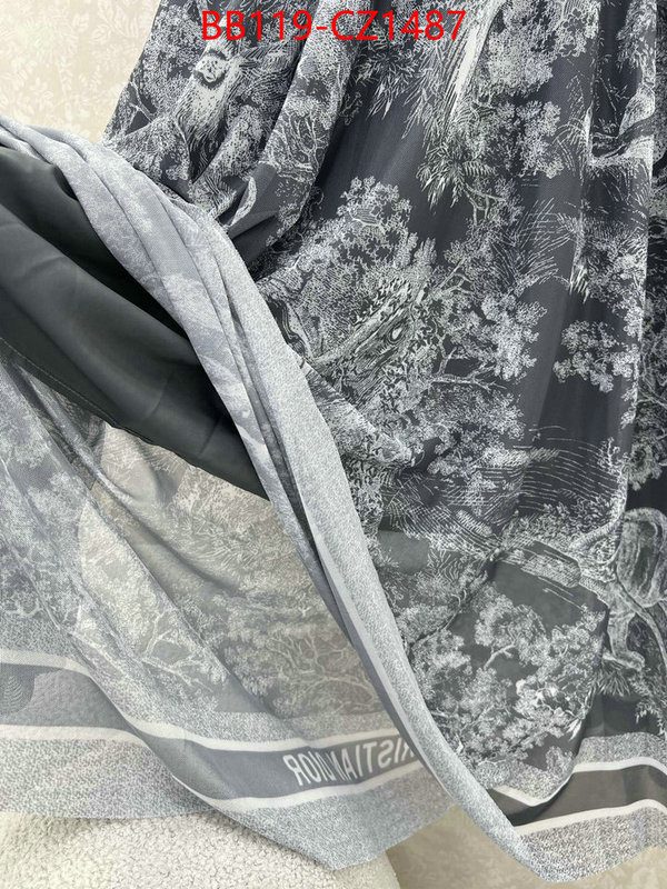 Clothing-Dior fashion designer ID: CZ1487 $: 119USD