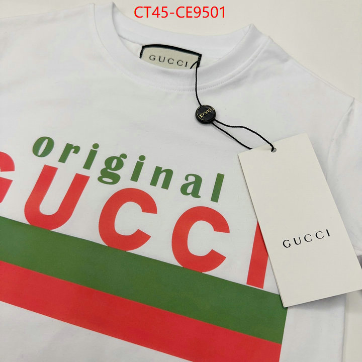 ID: CE9501