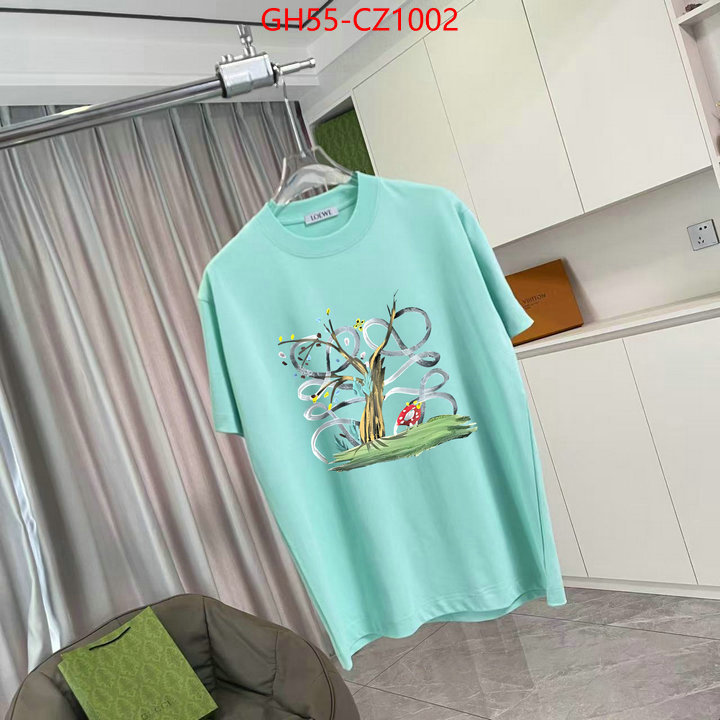 Clothing-Loewe designer 7 star replica ID: CZ1002 $: 55USD
