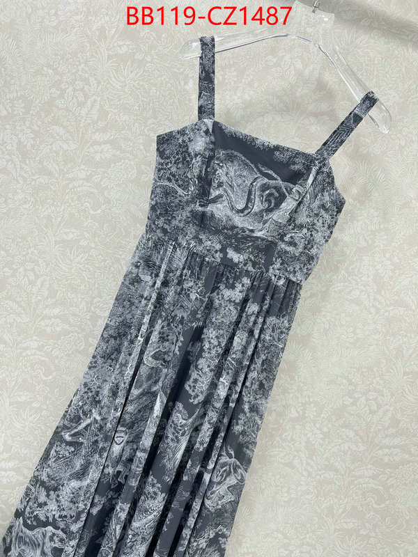 Clothing-Dior fashion designer ID: CZ1487 $: 119USD