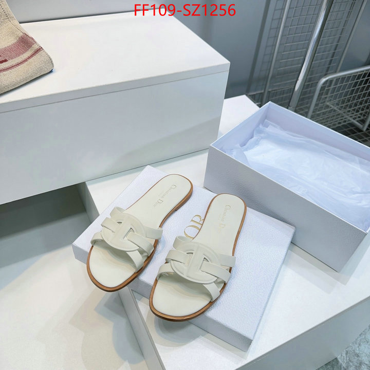 Women Shoes-Dior buying replica ID: SZ1256 $: 109USD