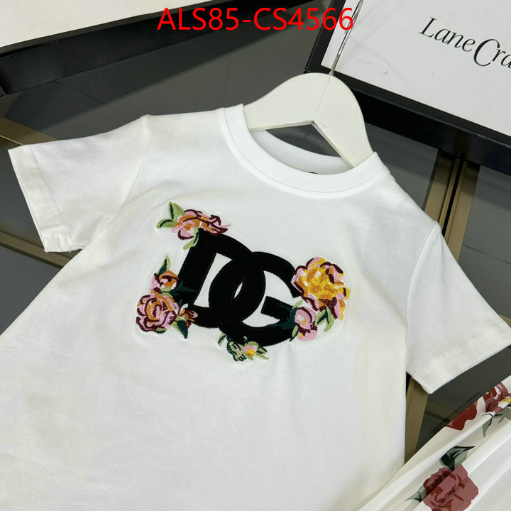 ID: CS4566