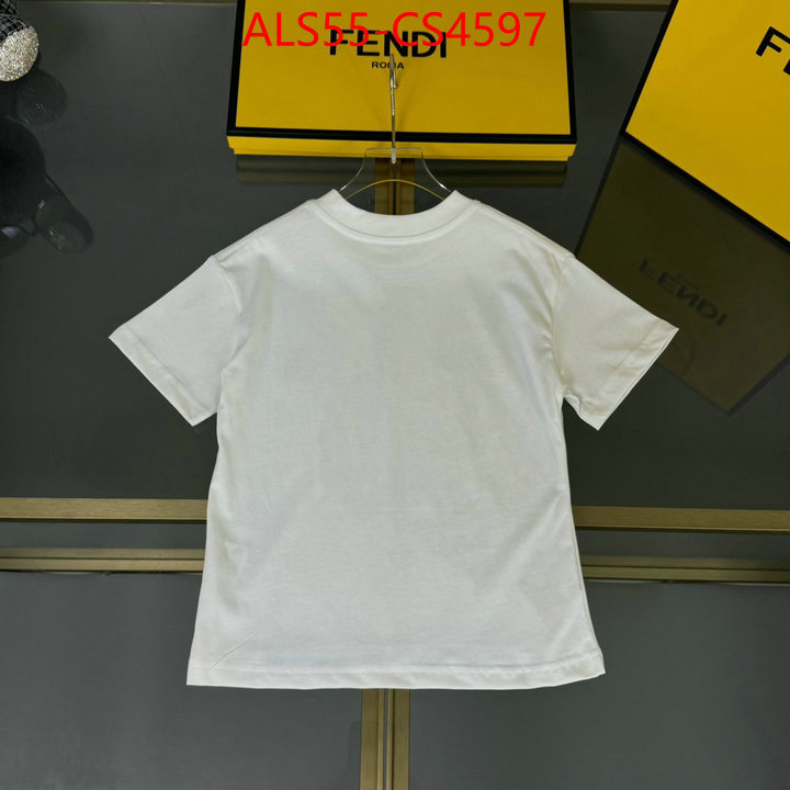 ID: CS4597