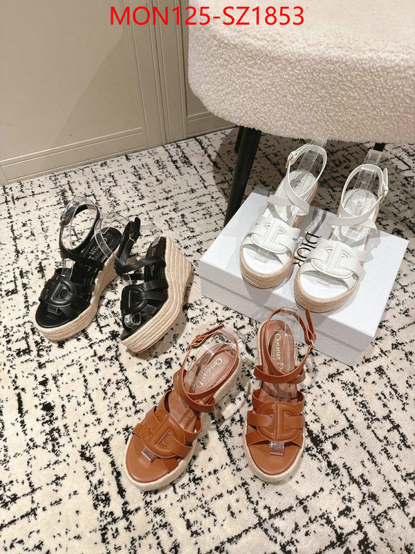 Women Shoes-Dior how to start selling replica ID: SZ1853 $: 125USD