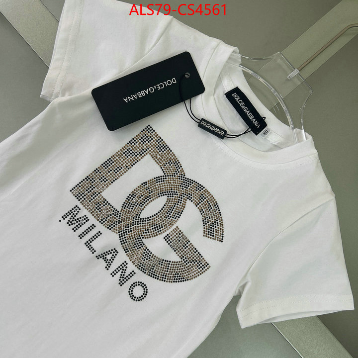 ID: CS4561