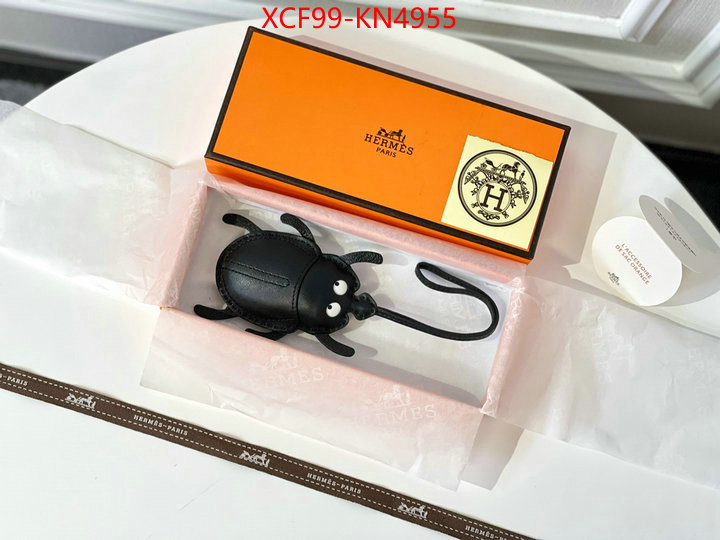 ID: KN4955