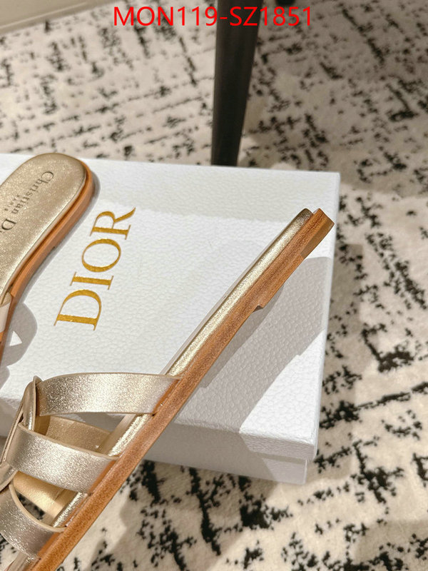 Women Shoes-Dior cheap replica designer ID: SZ1851 $: 119USD