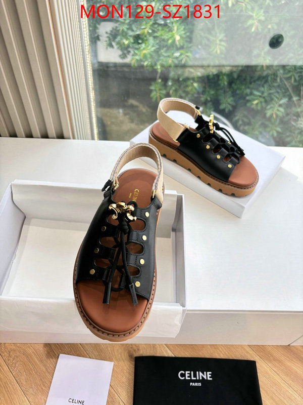 Women Shoes-CELINE supplier in china ID: SZ1831 $: 129USD