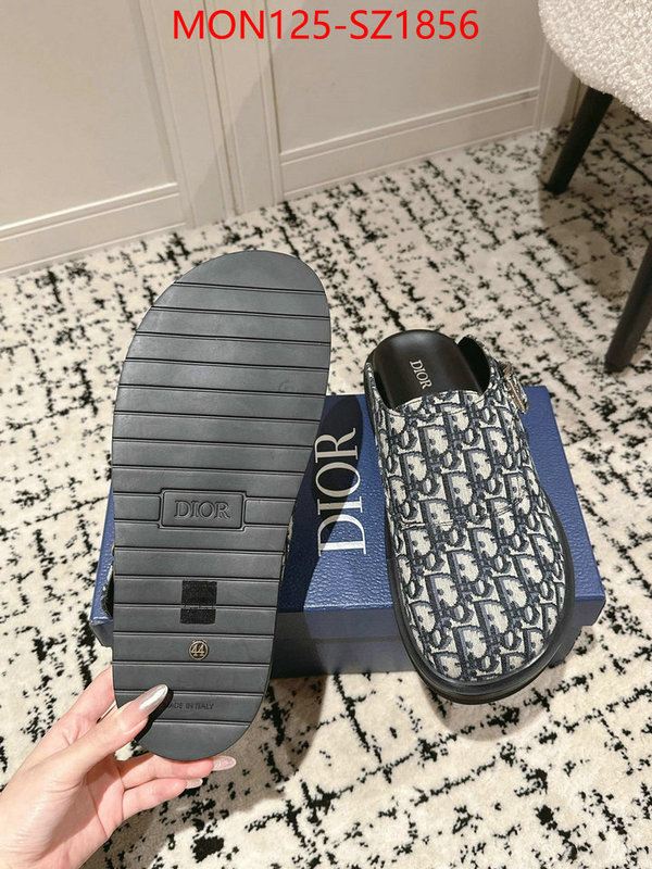 Men shoes-Dior top perfect fake ID: SZ1856 $: 125USD