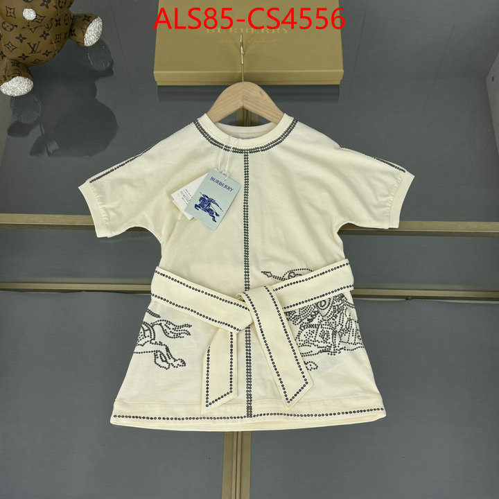 ID: CS4556