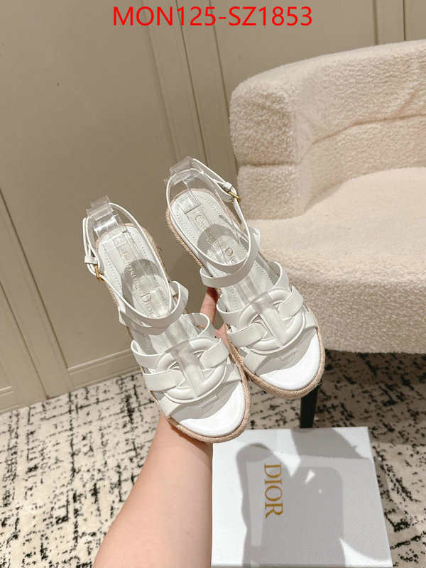 Women Shoes-Dior how to start selling replica ID: SZ1853 $: 125USD