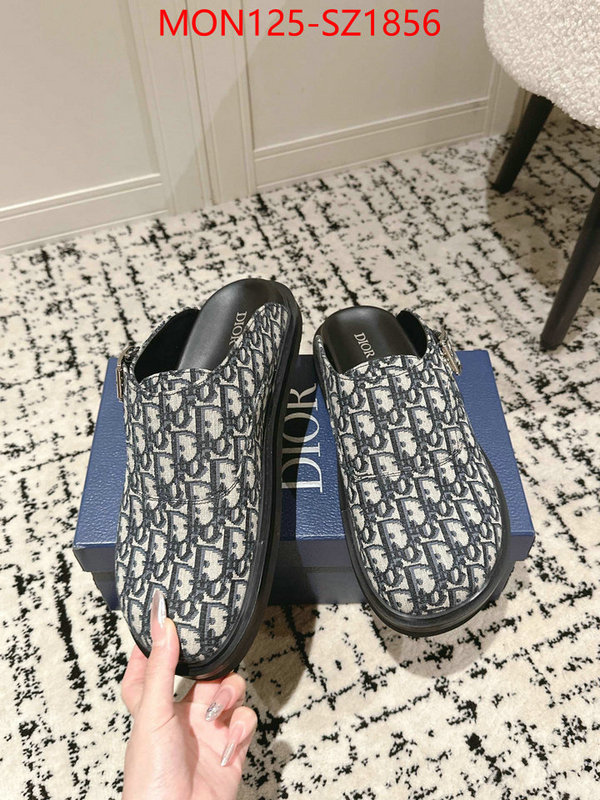 Men shoes-Dior top perfect fake ID: SZ1856 $: 125USD