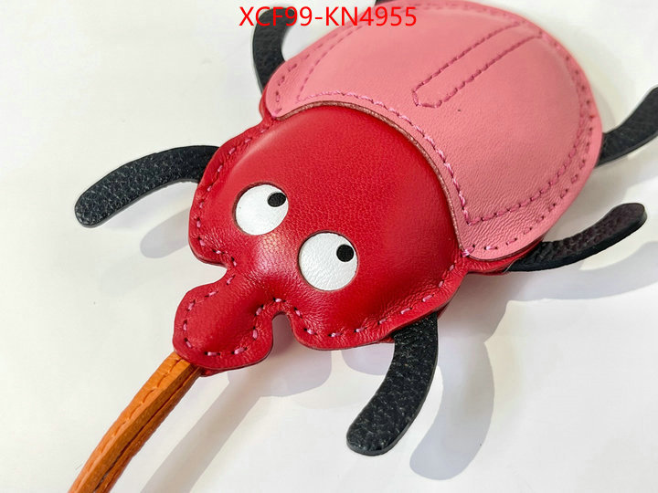 ID: KN4955
