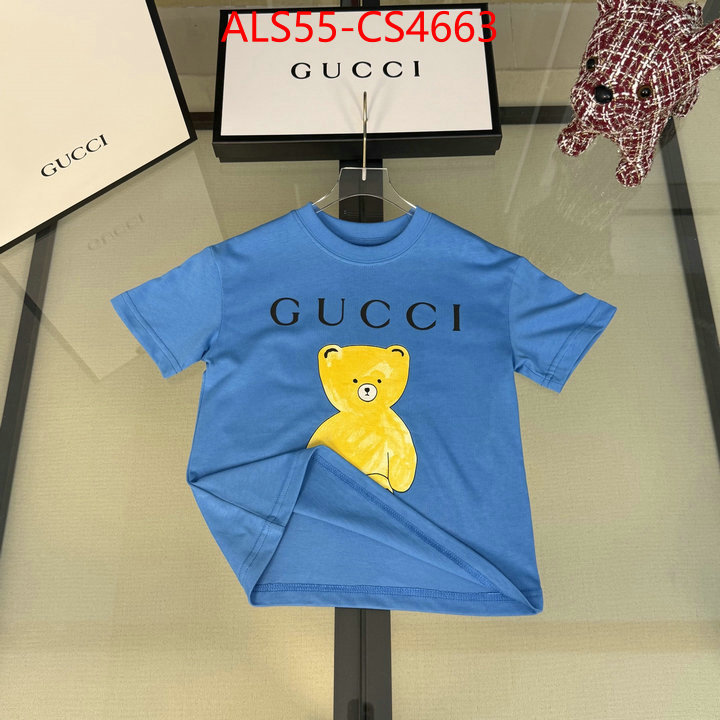 ID: CS4663