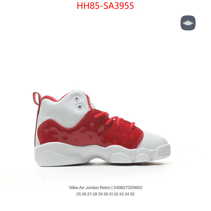 ID: SA3955