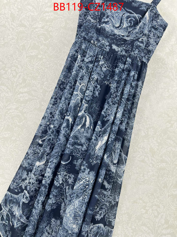 Clothing-Dior fashion designer ID: CZ1487 $: 119USD