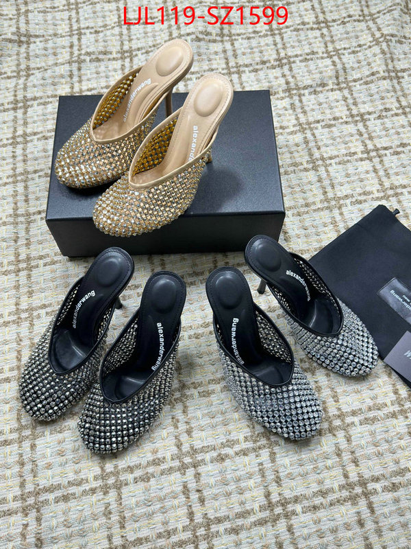 Women Shoes-Alexander Wang what is top quality replica ID: SZ1599 $: 119USD