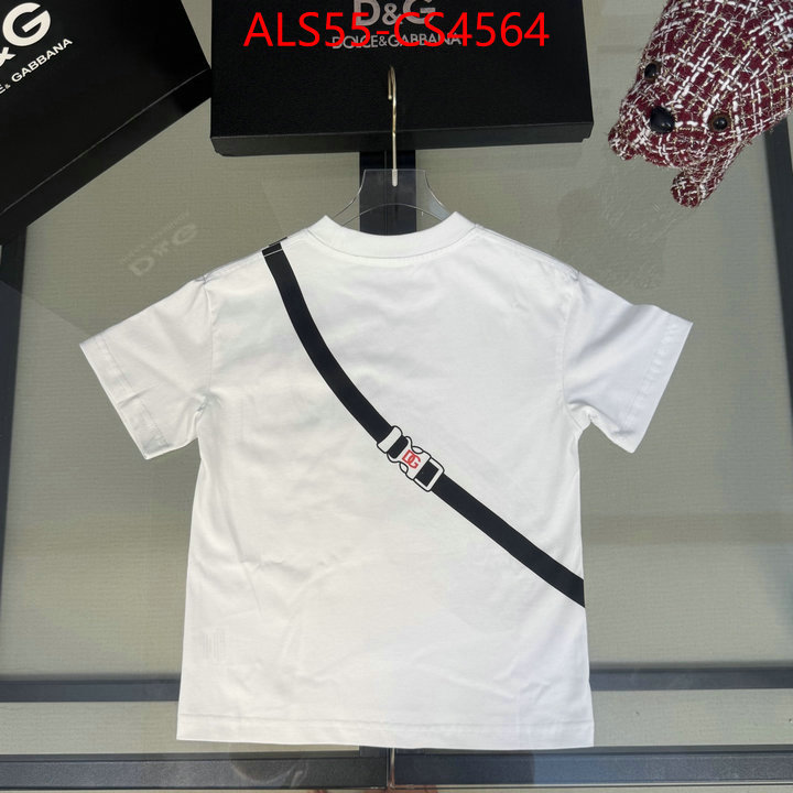 ID: CS4564