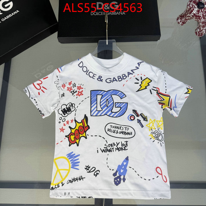ID: CS4563